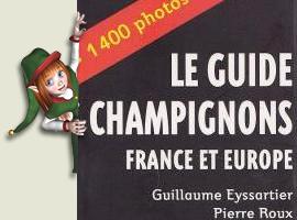 Le guide des champignons - France et Europe
