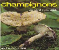 18 € -   "Le Marchand" Tome 6: planches 501 à 600