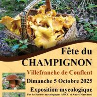 Fête du champignon 66 
