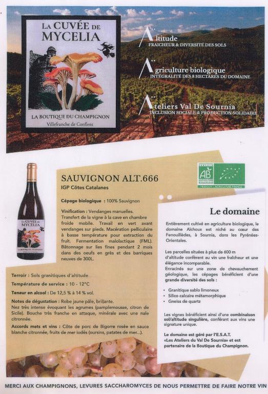 Cuvée MYCELIA Blanc: 100% Sauvignon Boutique du Champignon 