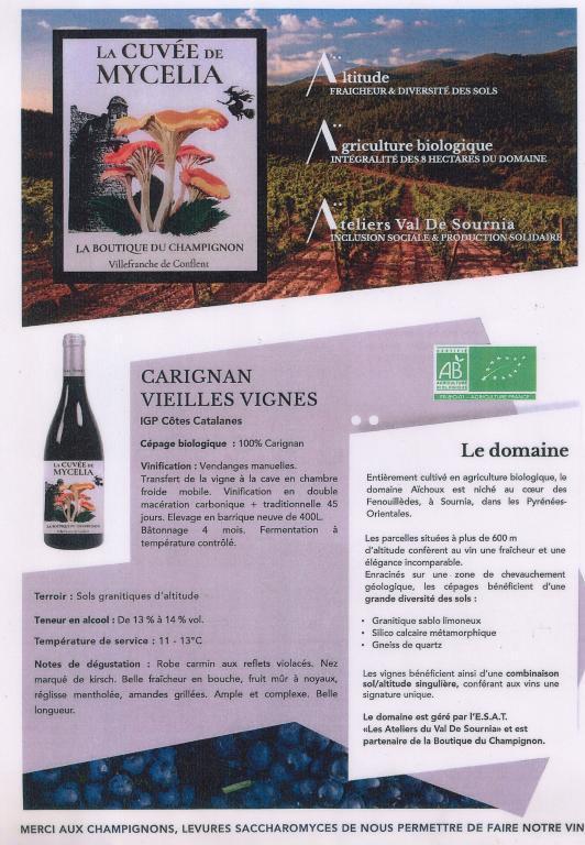 Cuvée MYCELIA Rouge: 100% Carignan Boutique du Champignon