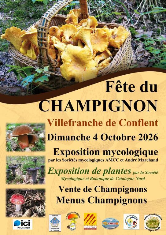 Marché aux champignons