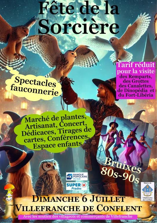 Disco sorcières Fauconnerie 66