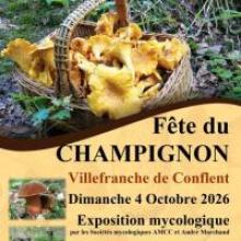 fête du champignon 66