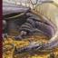L'univers des Dragons: Tome 2 Deuxième souffle Présentation brochée: 15 €