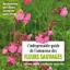 boutique du champignon villefranche du conflent (66)