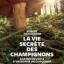 Boutique du Champignon 04 68 05 94 76