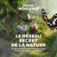 Boutique du Champignon PLUS DISPONIBLE