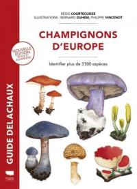 Librairie Boutique du Champignon Villefranche de Conflent (66)